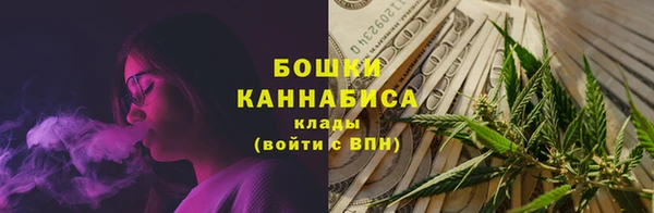 ECSTASY Богородск