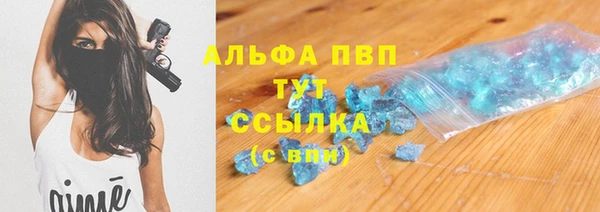 ECSTASY Богородск