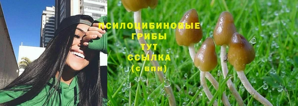 не бодяженный Богданович