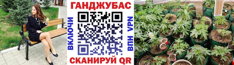 Шишки марихуана VHQ  Дагестанские Огни 